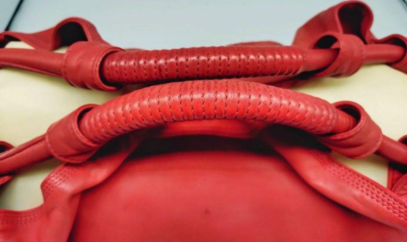 Loewe Pink aire Handbag