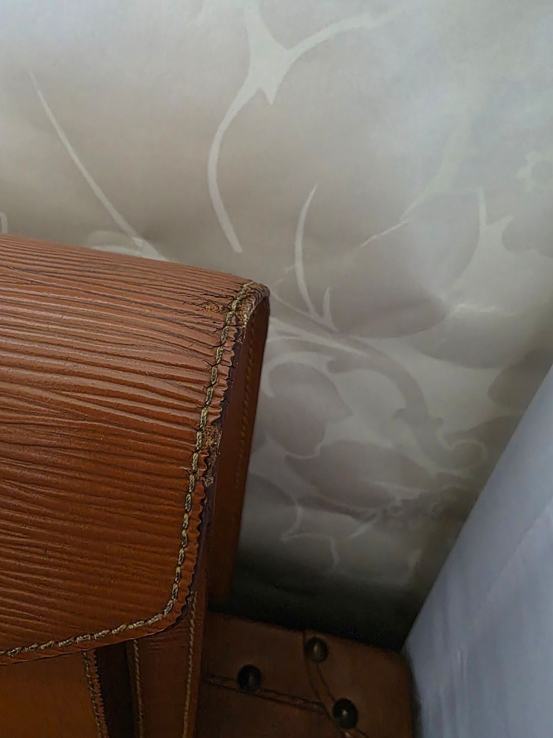 Louis Vuitton Cognac brown Serie Dragonne Epi leather Clutch bag 