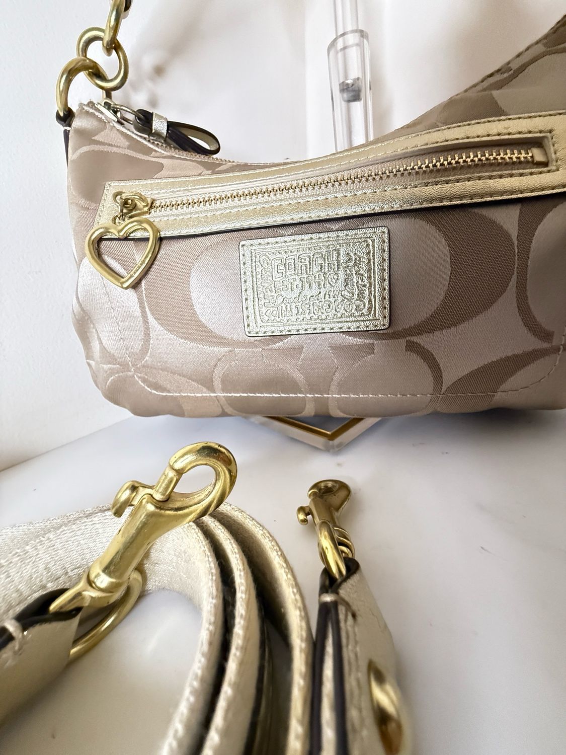 Coach Poppy Daisy Bag