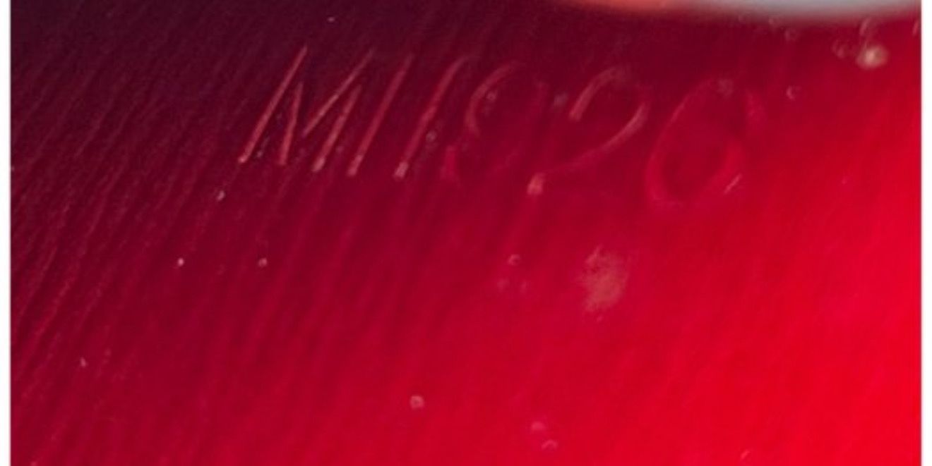 Louis Vuitton malesherbes  epi Leather Top Handle Bag