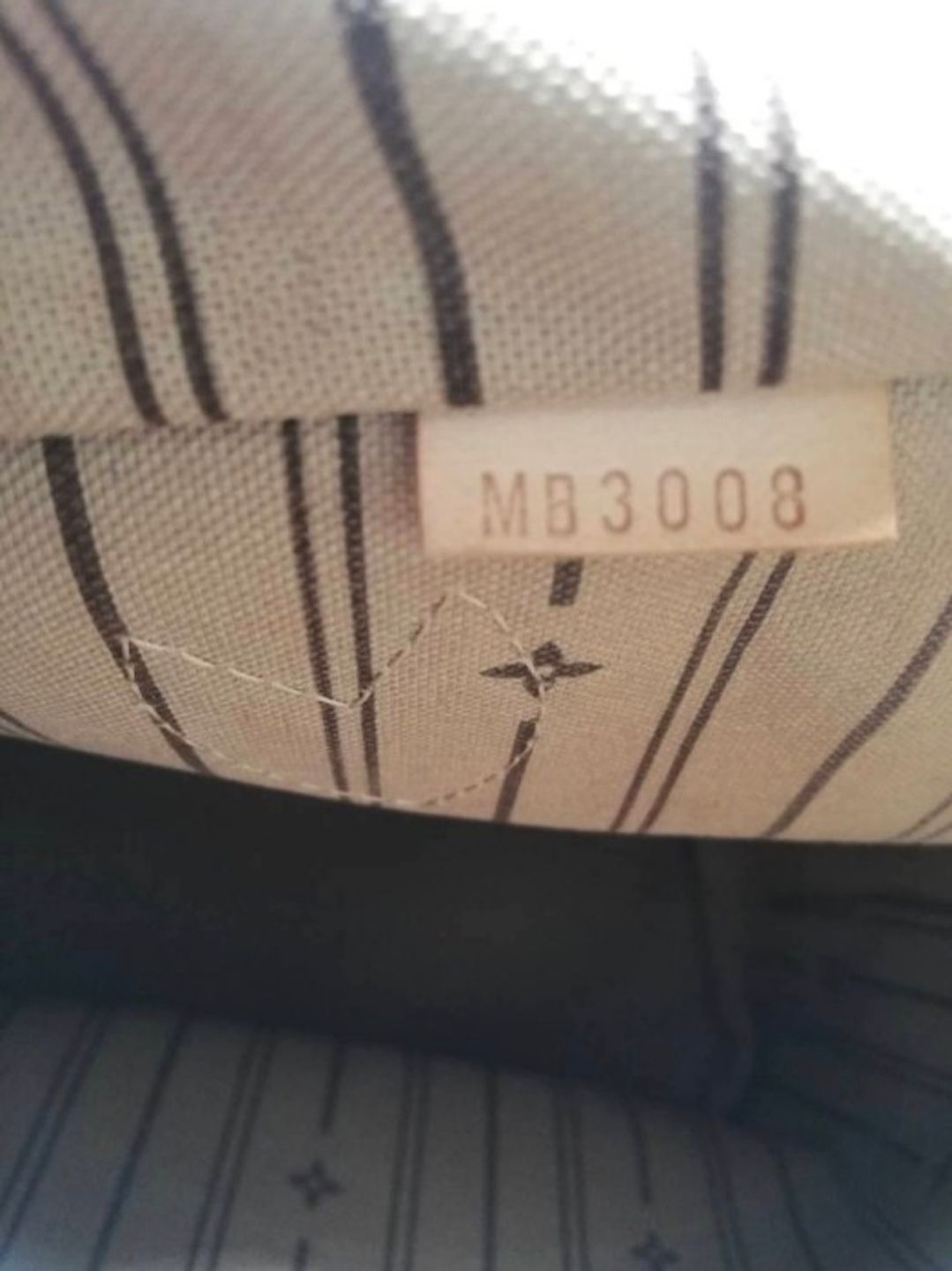 Louis Vuitton Neverfull PM monogram 