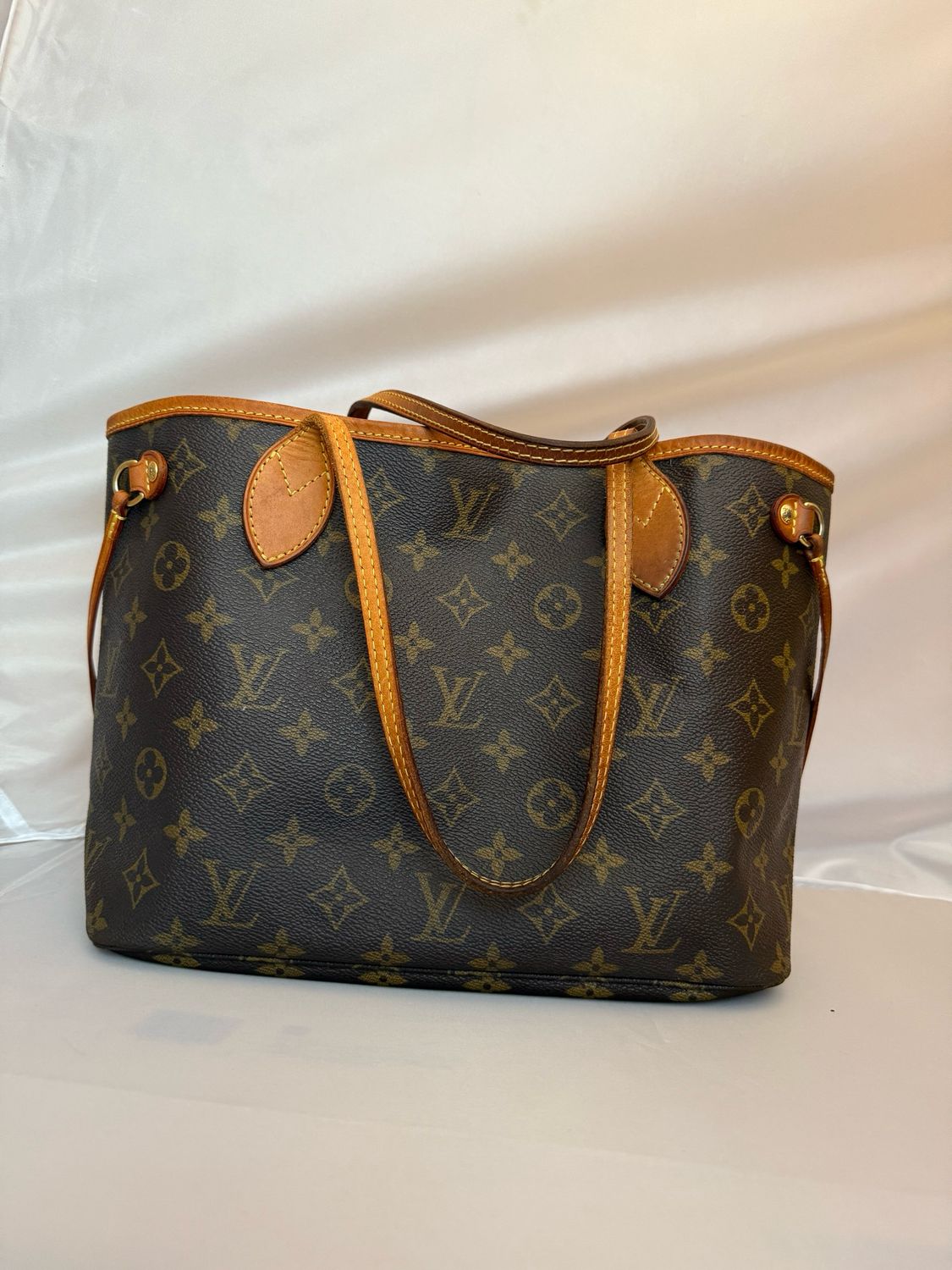 Louis Vuitton Neverfull PM monogram 