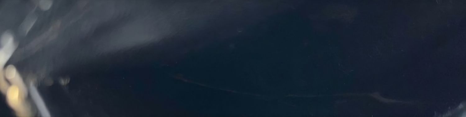 Vintage Celine Triomphe Box crossbody Leather purse Black