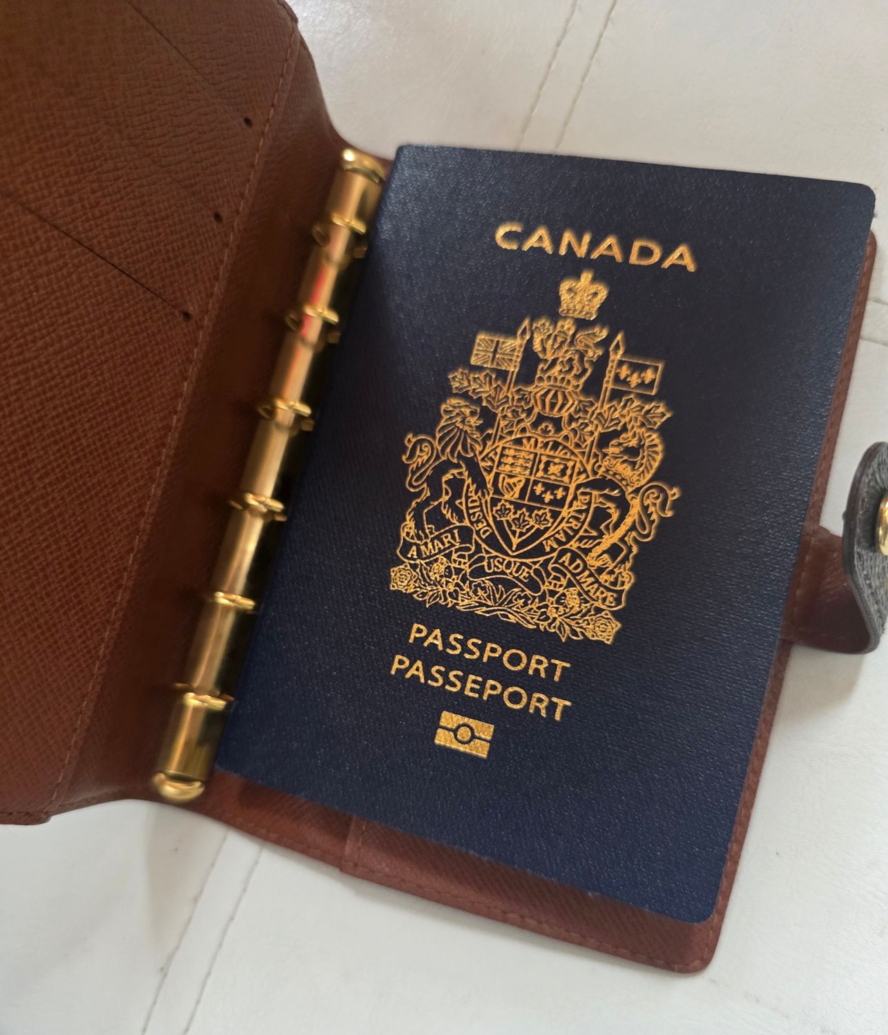 Louis Vuitton Agenda cover monogram 