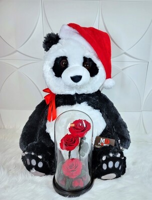 PANDA TEDDY WITH ROSES IN DOME