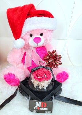 PINK TEDDY AND PINK ROSE