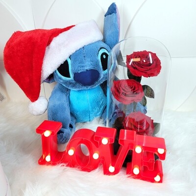 STITCH WITH ROSES IN DOME AND LOVE