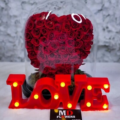 HEART IN GLASS DOME WITH LOVE LAMP