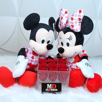 Mickey Minnie Set