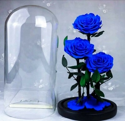 3 BLUE ROSES IN DOME