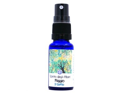 Esprit du hêtre - le souffle