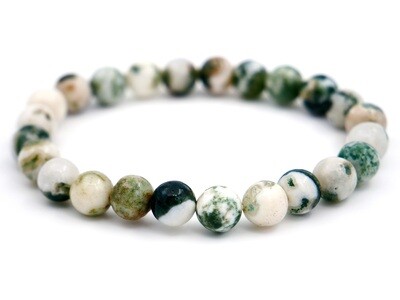 Tree Agate Bracelet - 8mm