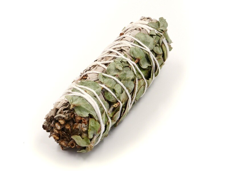 California white sage and eucalyptus