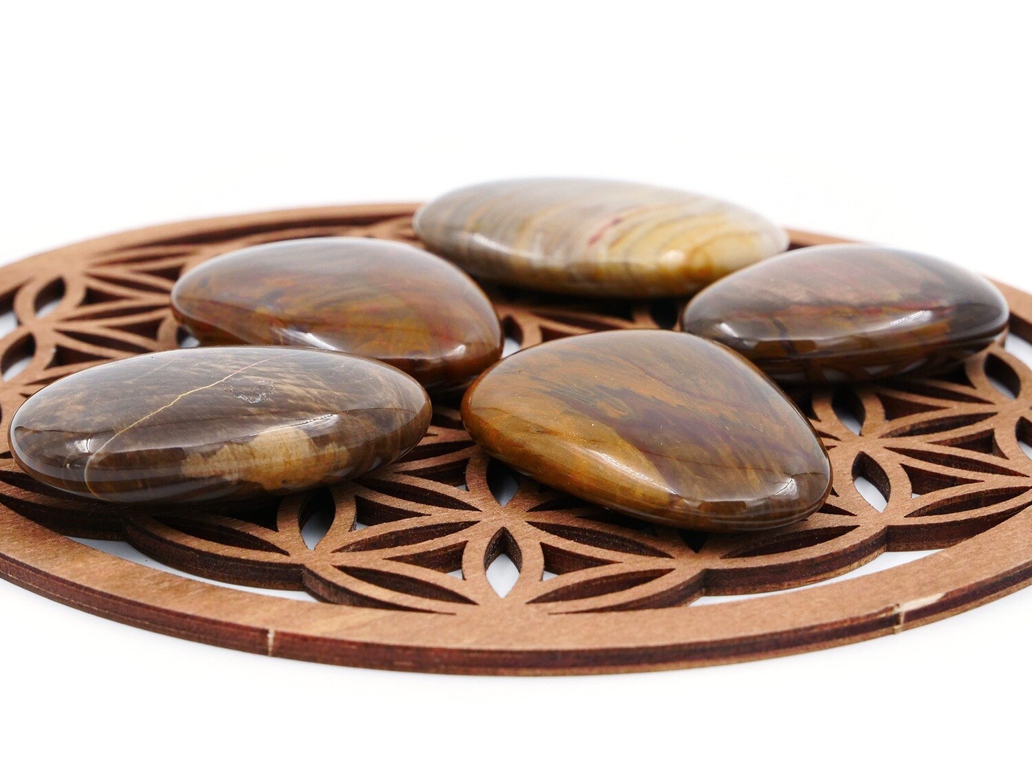 Petrified wood (fossil) - Tumbled Stone