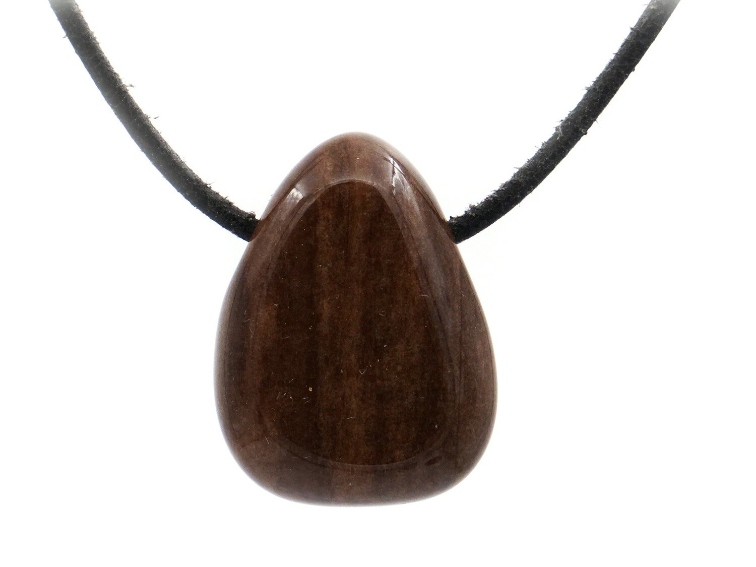 Petrified wood (fossil) - Drilled stone pendant