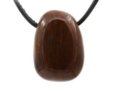 Petrified wood (fossil) - Drilled stone pendant