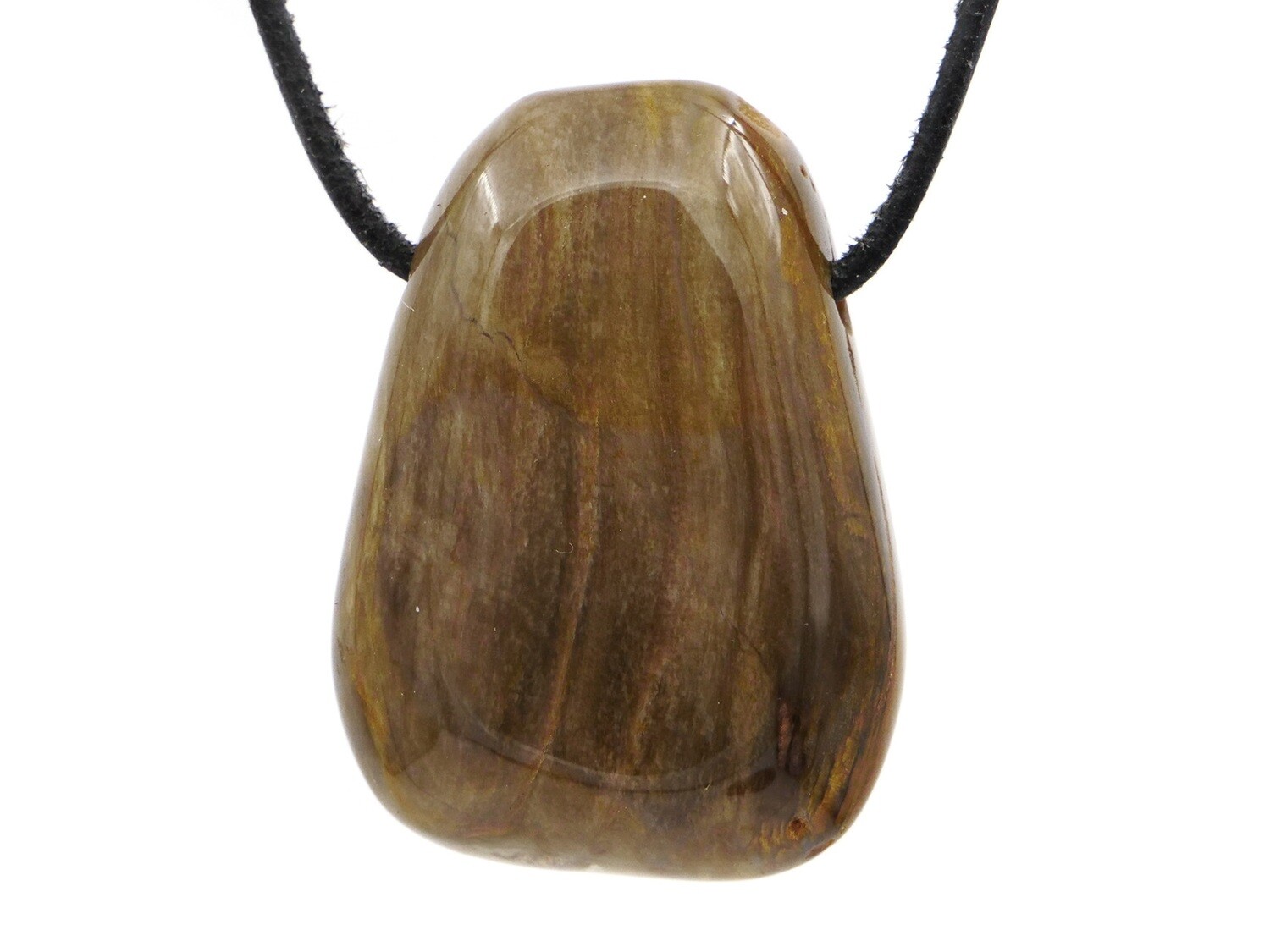 Petrified wood (fossil) - Drilled stone pendant