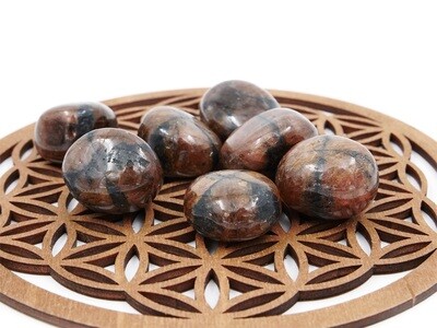 Chiastolite - Tumbled Stone