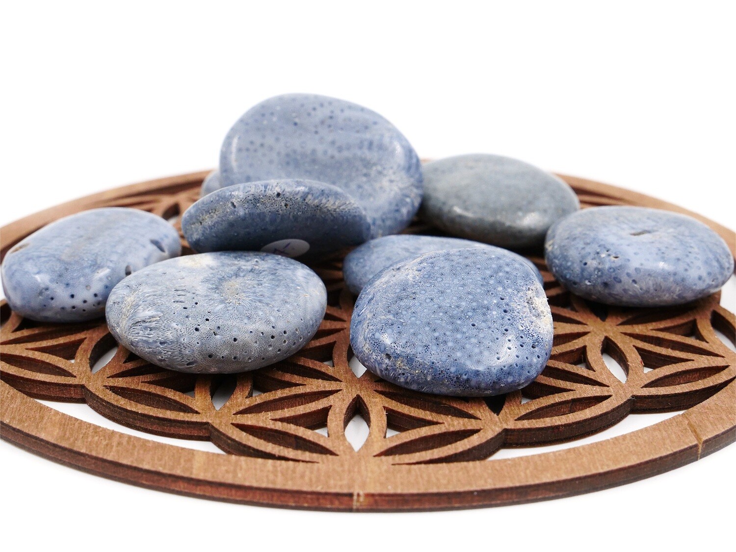 Blue fossil coral - Tumbled Stone