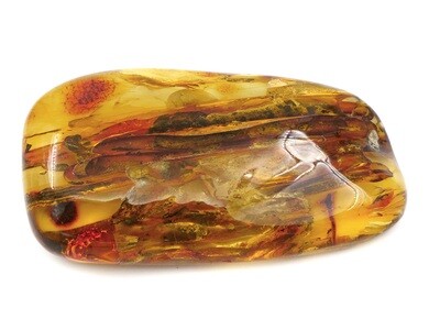Amber - Polished