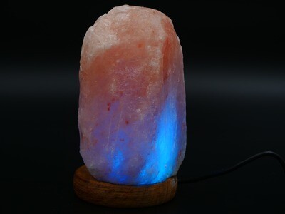 Mini-lampe de sel avec prise USB