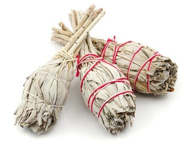 California White Sage - set of 3