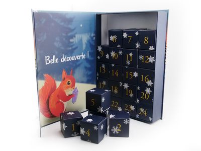 Calendrier de l&#39;Avent