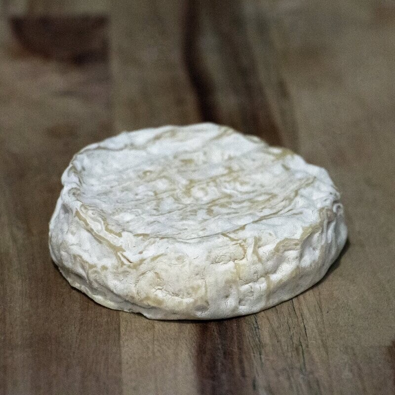 Pélardon
