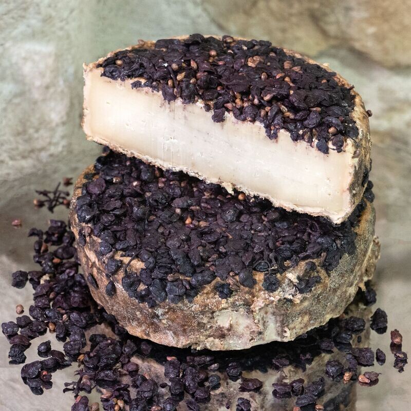 Tomme au marc