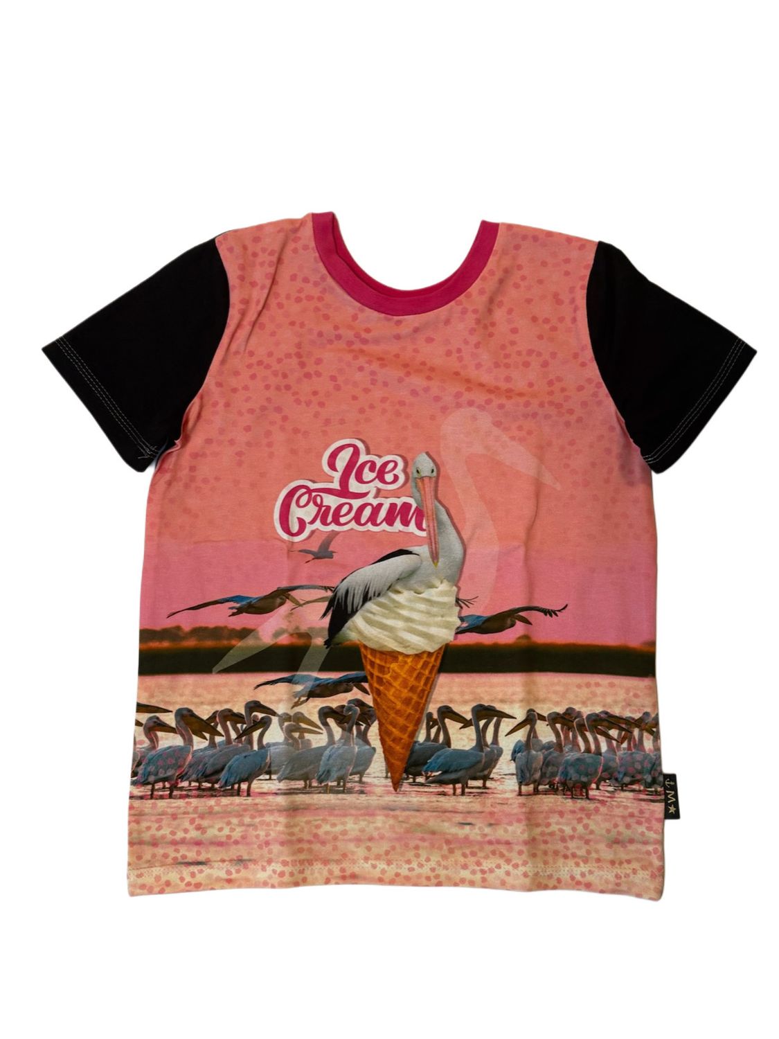 IceDream III