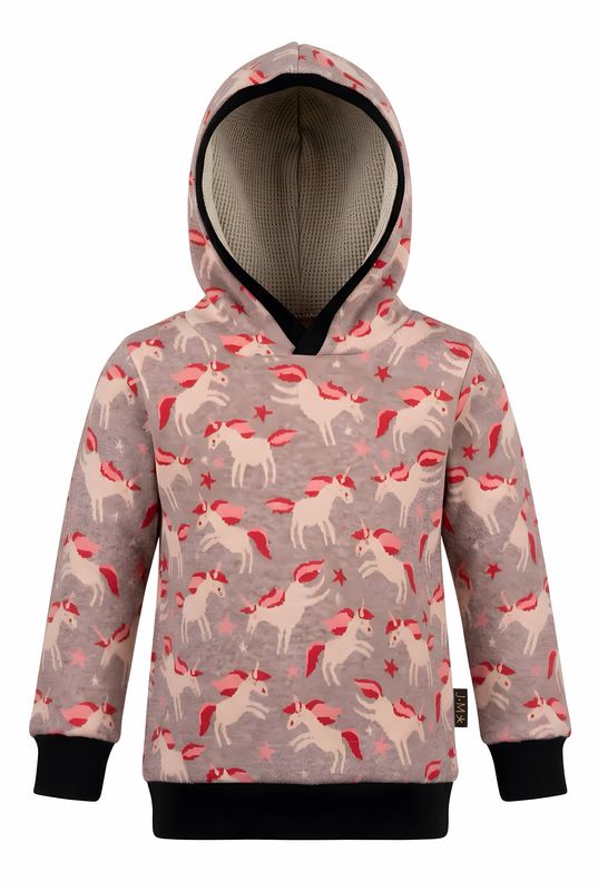 klassischer Kapuzenpulli