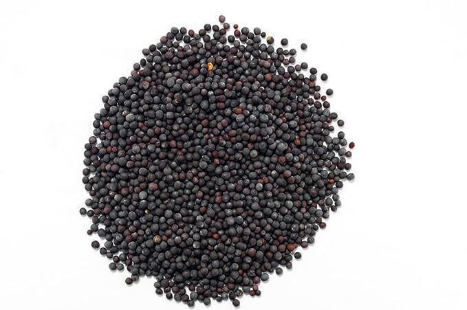 Graine de moutarde noire - 100 gr