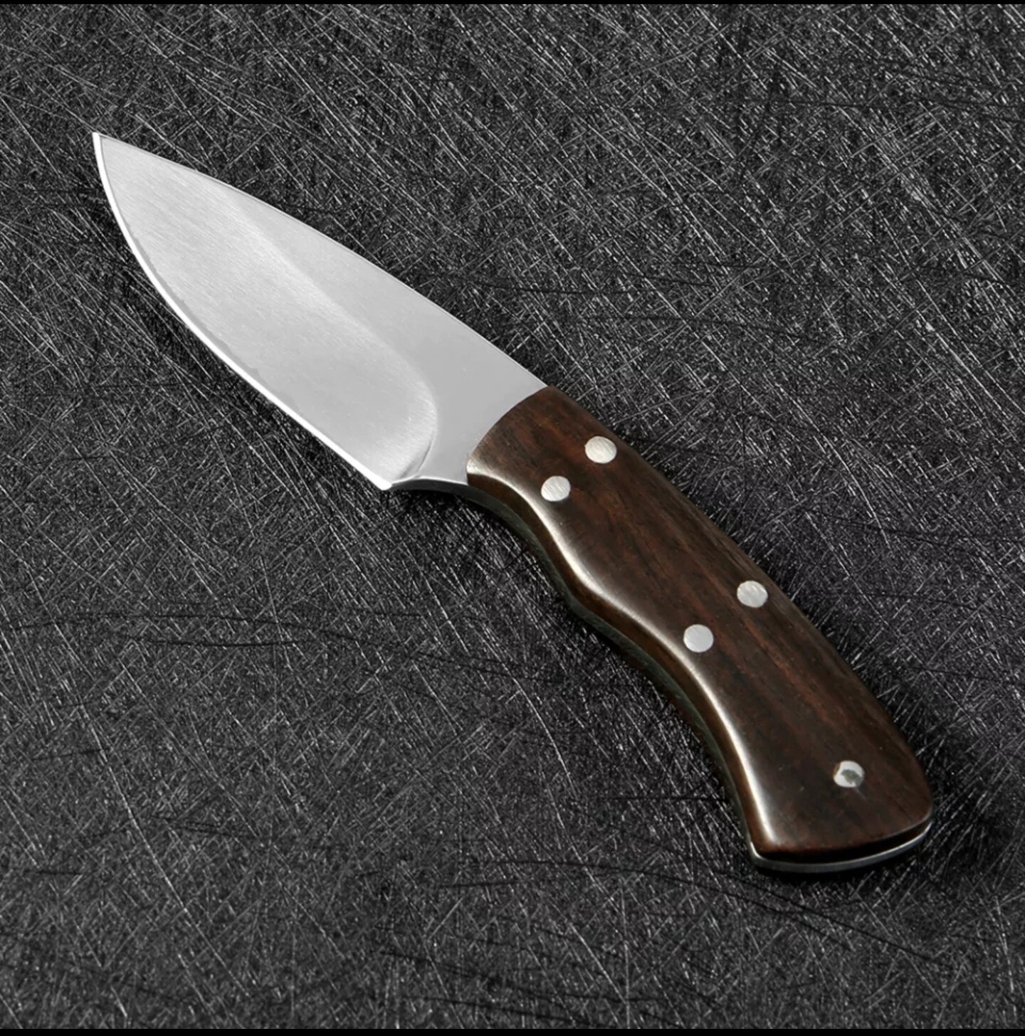 Stainless mini Fixed blade