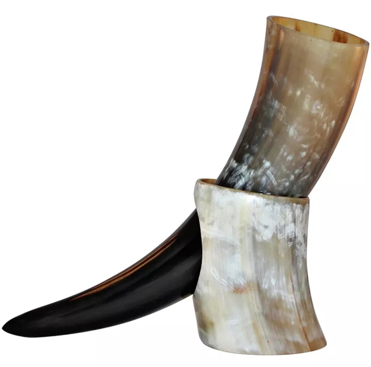 Drinking horn and Stand