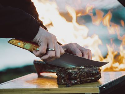 F. Dick, Vivum, Asador, 22cm