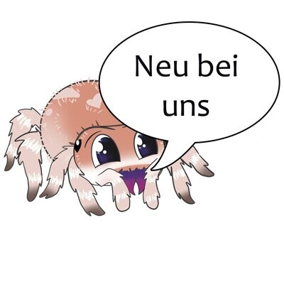 Neuheiten