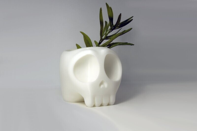 Tiny Skull  im Comic-Style