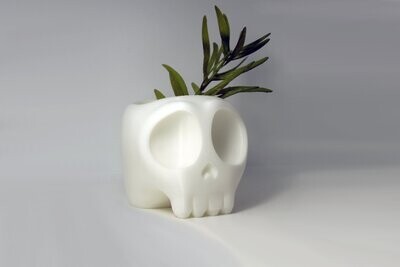 Tiny Skull  im Comic-Style