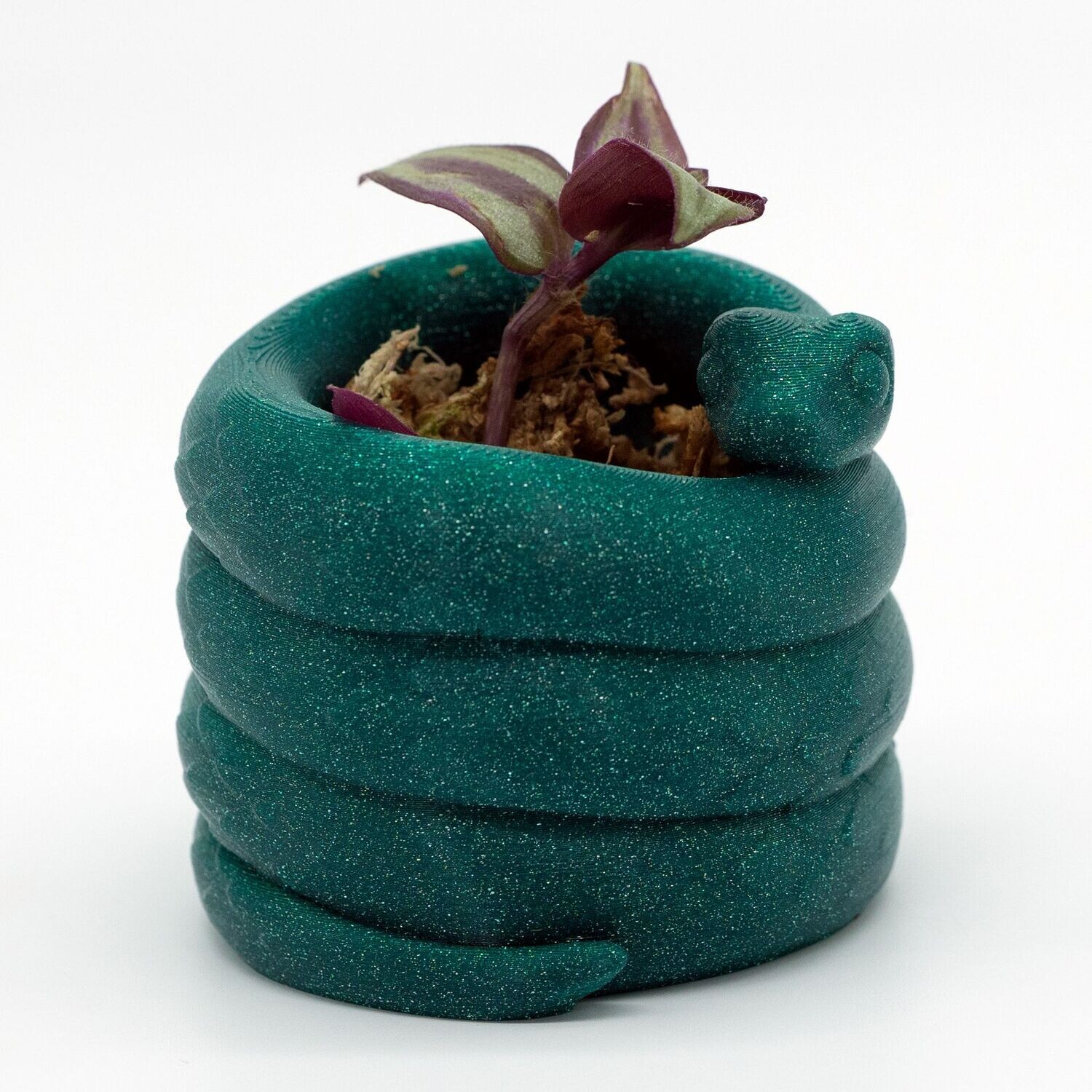 Tiny Snake Pot in 5,4 cm Höhe