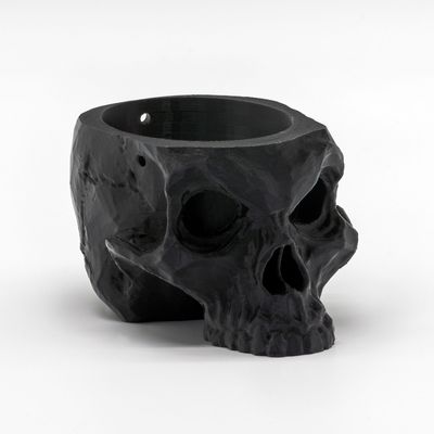 Tiny Skull