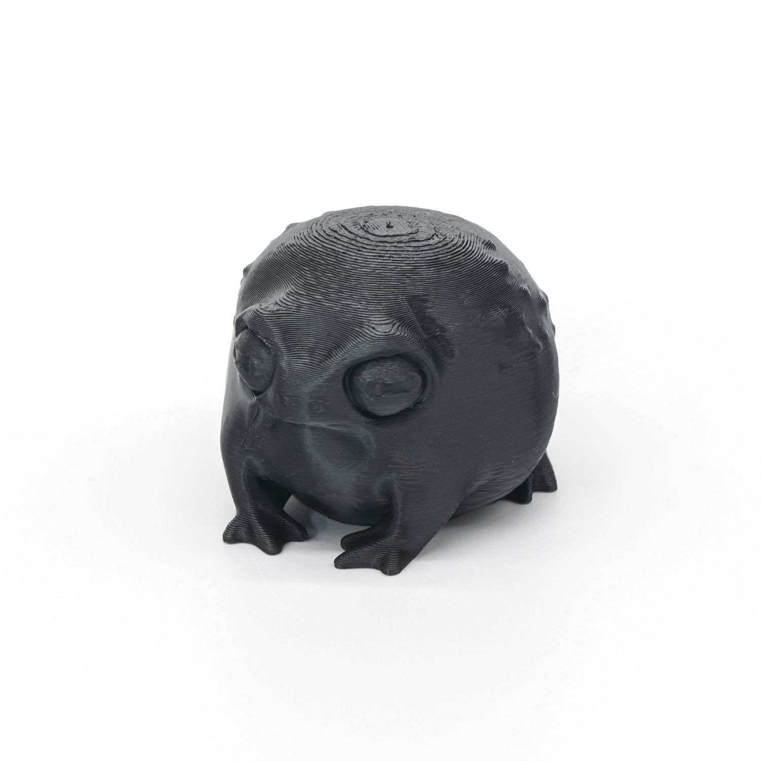 Tiny Rainfrog