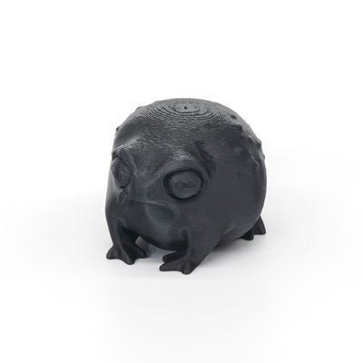 Tiny Rainfrog