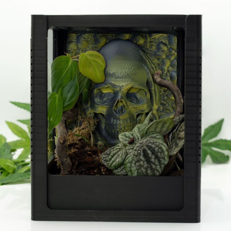 Tiny House Komplett-Set mit Terrariumrückwand Skull edition