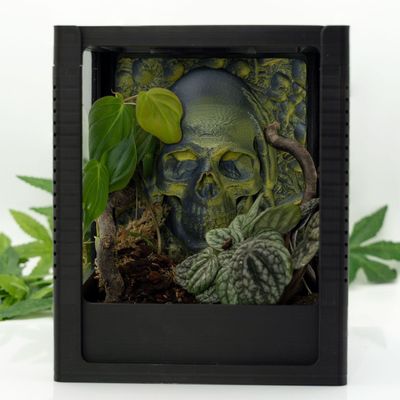 Tiny House Komplett-Set mit Terrariumrückwand Skull edition