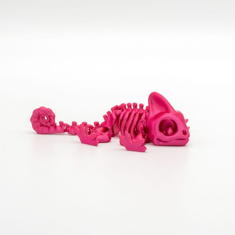 Tiny Chameleon Skelett