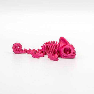 Tiny Chameleon Skelett