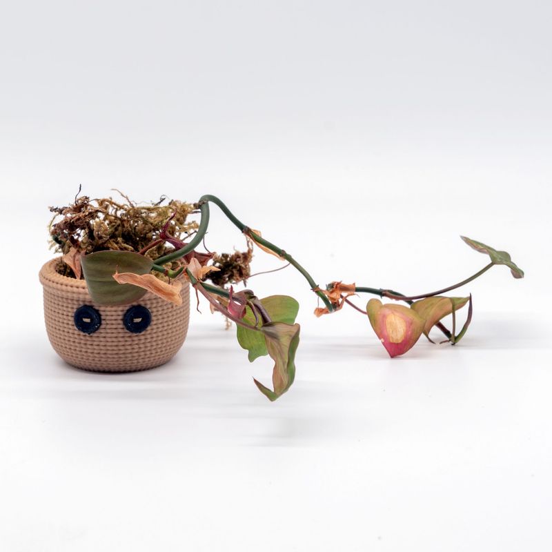 Tiny Knitting Pot mit Magnet
