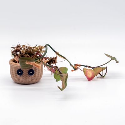 Tiny Knitting Pot mit Magnet