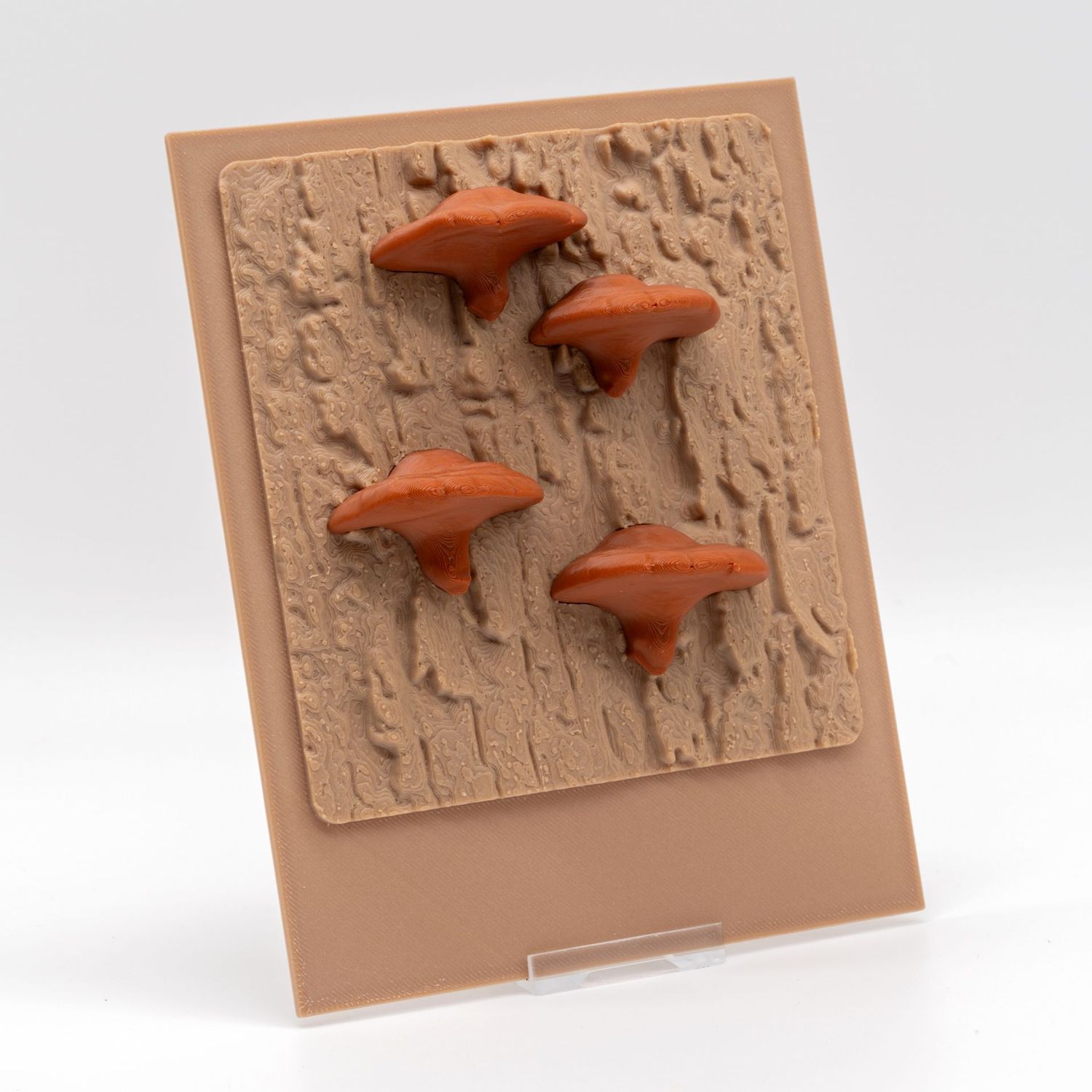 Tiny Rückwand - Mushroom edition