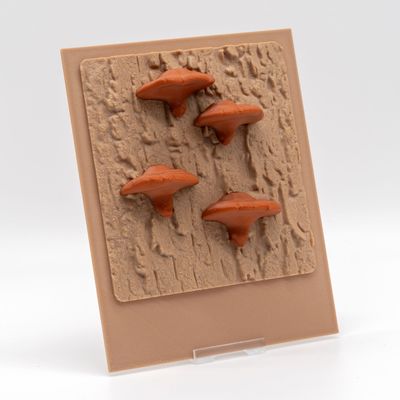 Tiny Rückwand - Mushroom edition